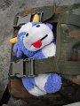 2007_Stolove_hory_06