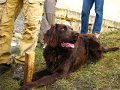 2012_03_Tajemna_vyprava_09