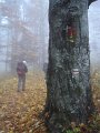 2012_10_Roverska_vyprava_Muranska_planina_11