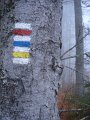 2012_10_Roverska_vyprava_Muranska_planina_18