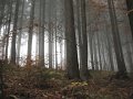 2012_10_Roverska_vyprava_Muranska_planina_21