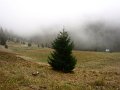 2012_10_Roverska_vyprava_Muranska_planina_24