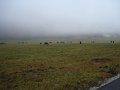 2012_10_Roverska_vyprava_Muranska_planina_58
