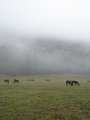 2012_10_Roverska_vyprava_Muranska_planina_60
