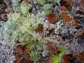 2012_10_Roverska_vyprava_Muranska_planina_67