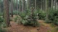 2013_12_Vanocni_10_07